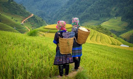 Mai Chau ráj pro pěší turistiku Vietnam